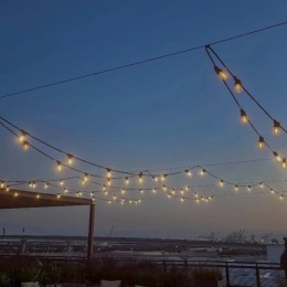 Summer nights illuminated by twinkle lights Summer nights illuminated by twinkle lights