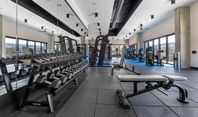 Get your workout on a gym with treadmills