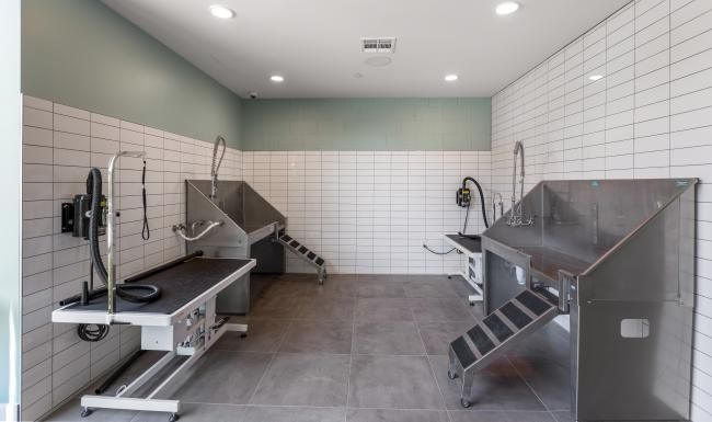 Bathroom options with thoughtful details a room with sinks and faucets